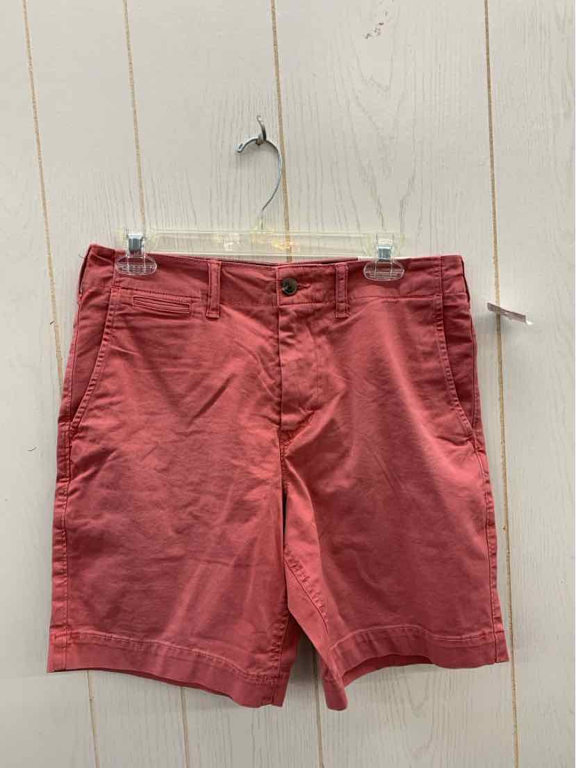 American Eagle Size 30 Mens Shorts