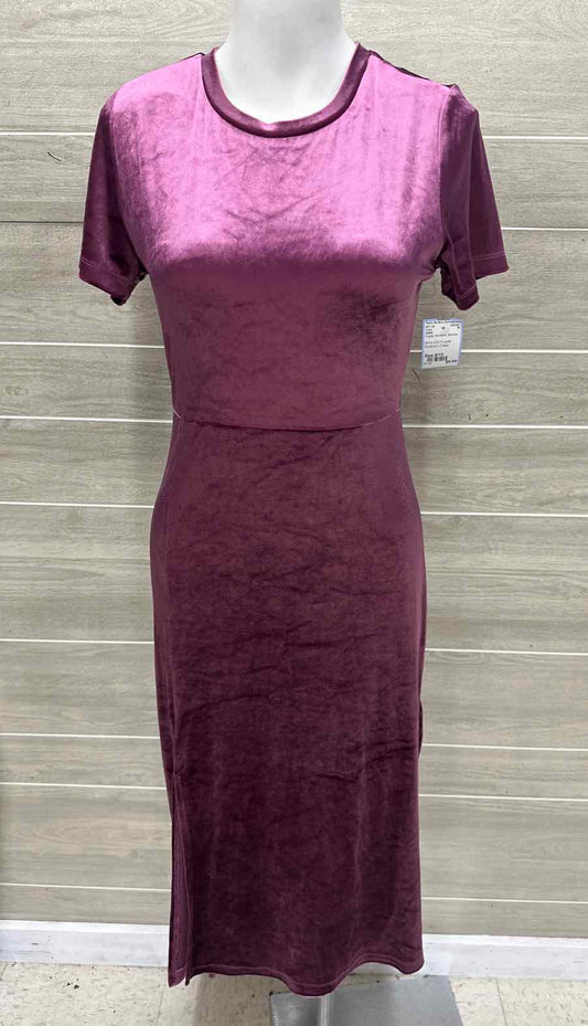 ZARA Size 8/10 Purple Womens Dress
