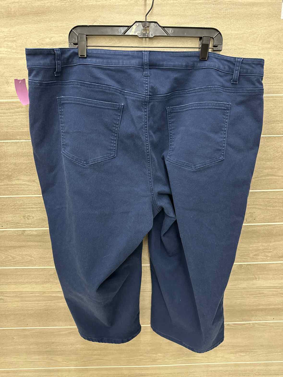Blue Womens Size 24W Jeans
