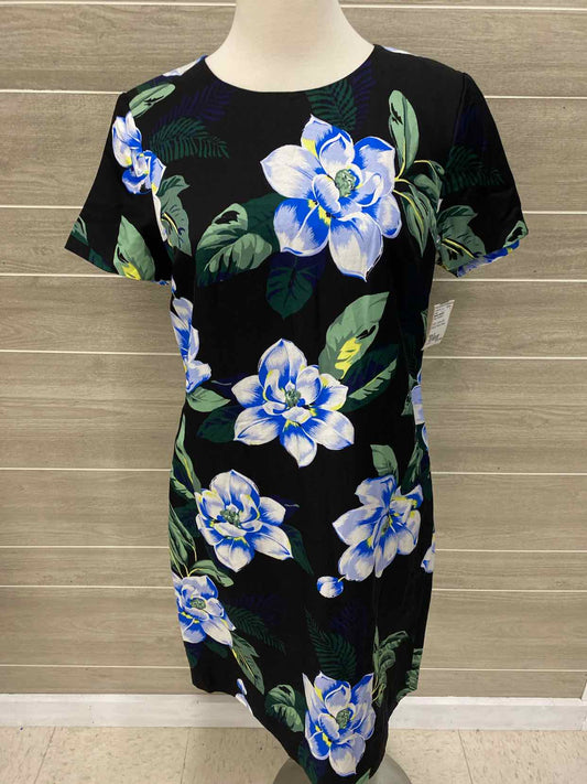 Banana Republic Black Womens Size 8 Dress