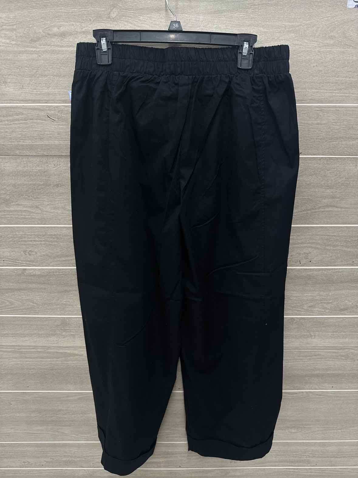 Sienna Sky Size 14 Black Womens Pants