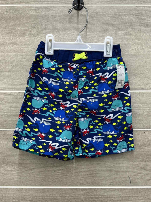 Infant 12 Months Swimwear