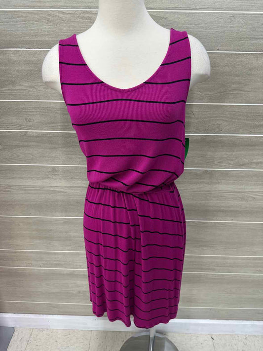 Merona Purple Womens Size 6 Dress