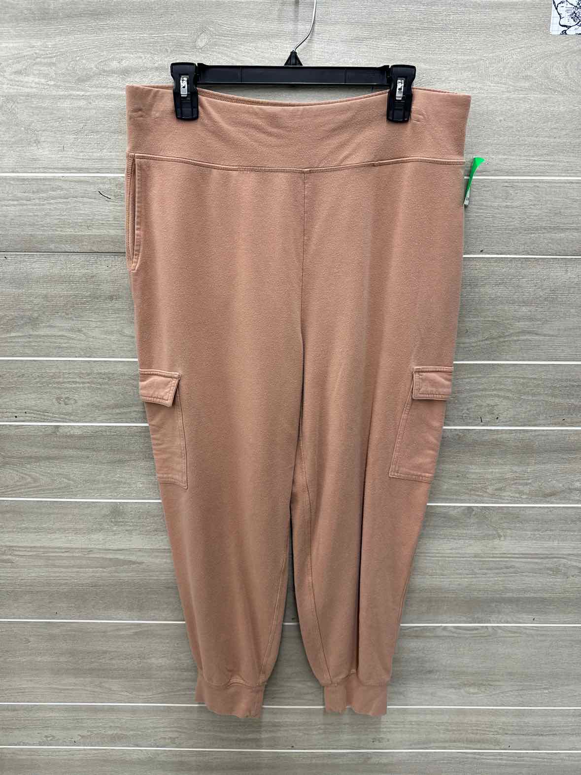 AERIE Size L/XL Tan Womens Pants