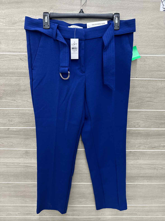 LOFT Size 8 Tall Blue Womens Pants