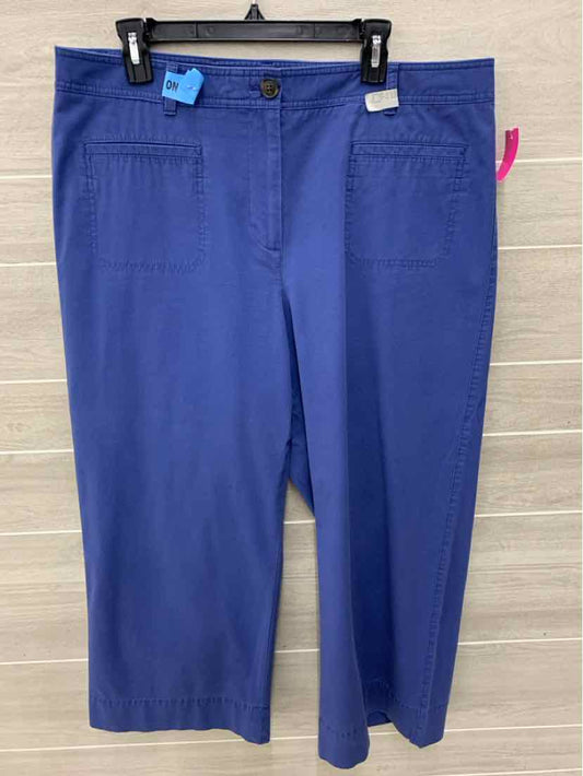 Talbots Blue Womens Size 16 Pants
