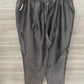 Selene Silver Womens Size 1X Pants