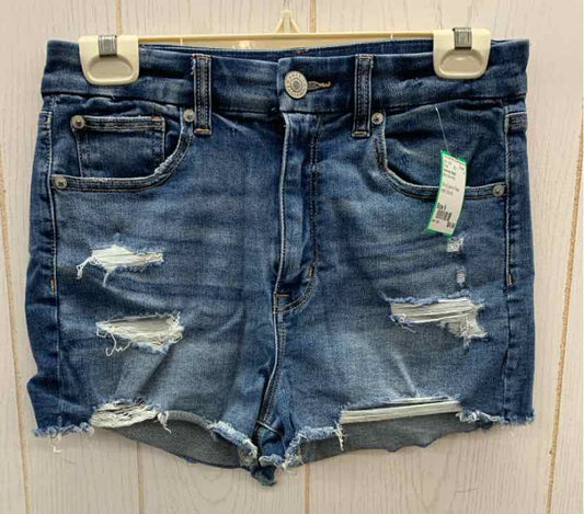 American Eagle Blue Womens Size 6 Shorts