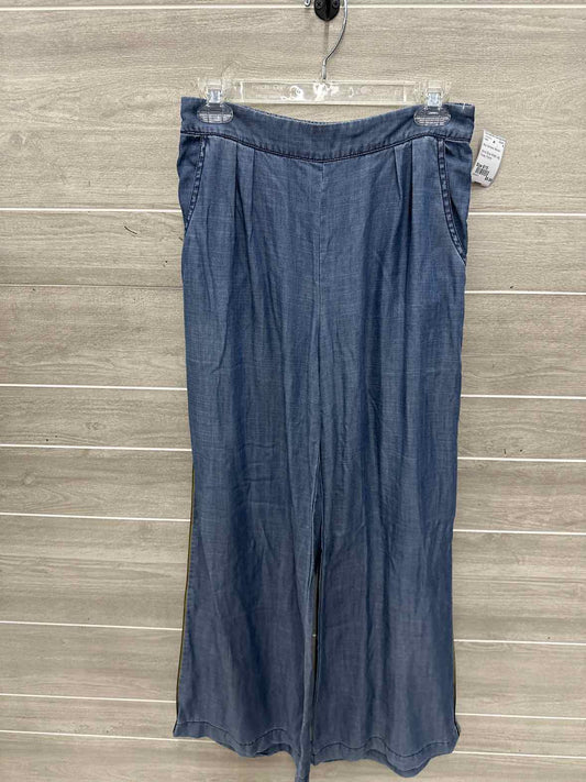 Size 8/10 Blue Womens Pants