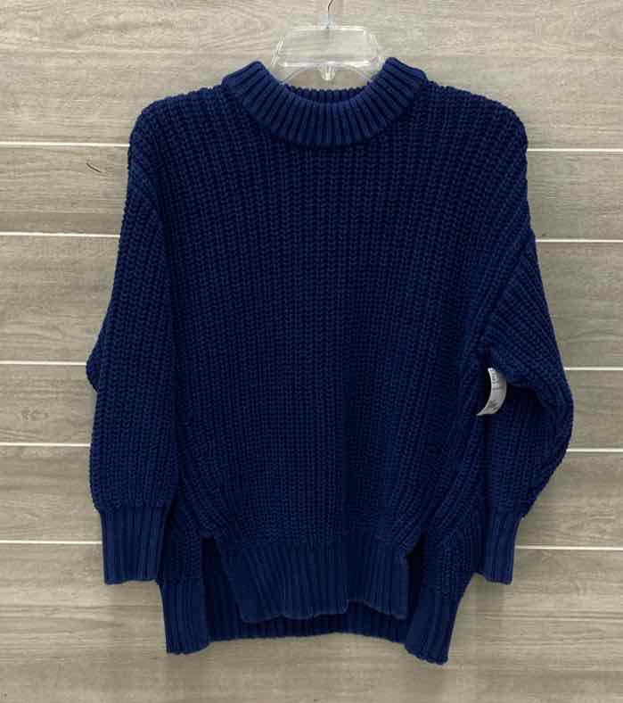 Pistola Blue Womens Size M Sweater