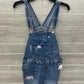 Wild Fable Blue Womens Women Size 2/4 Shorts