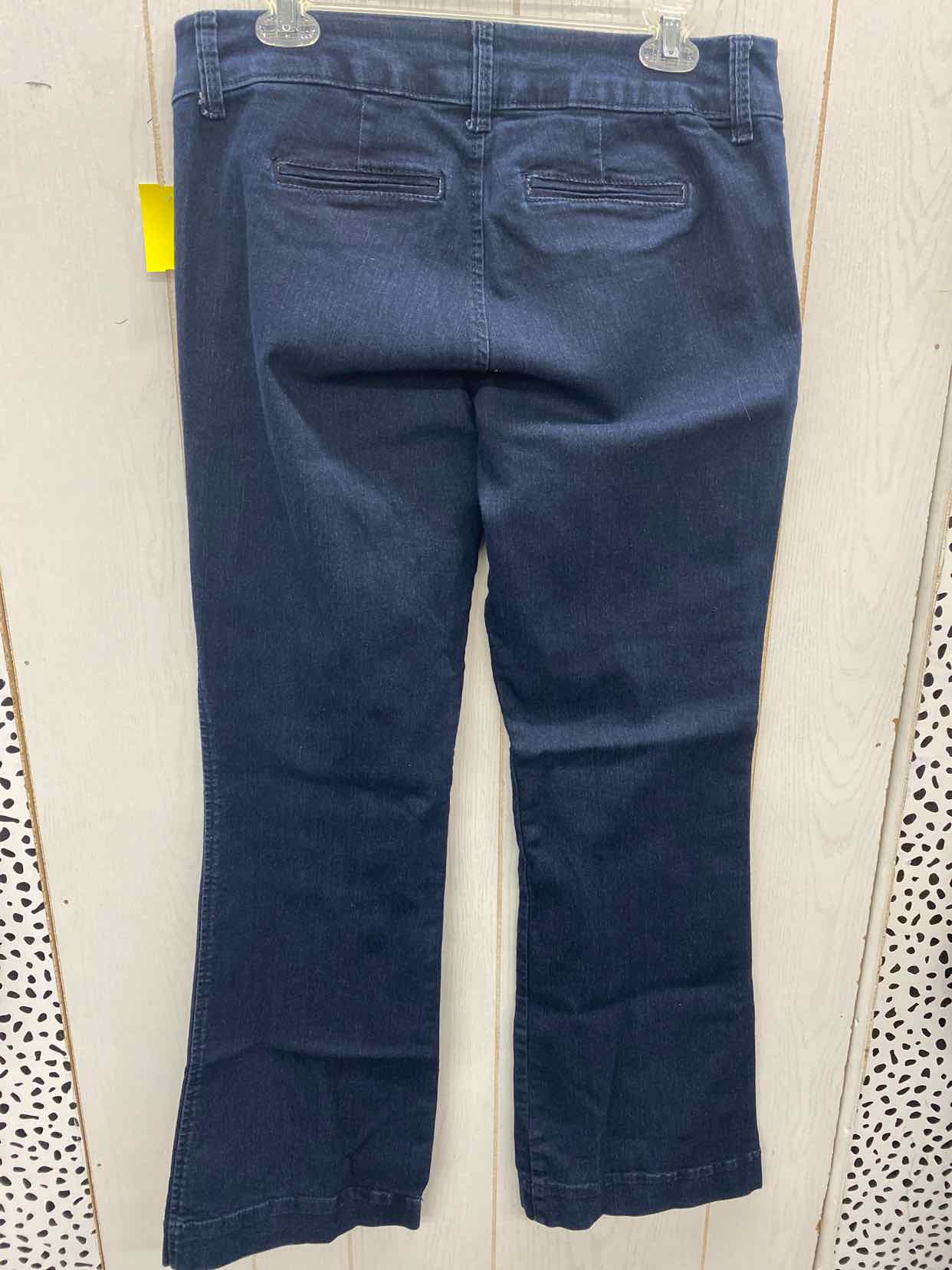 SJB Blue Womens Size 10 Jeans