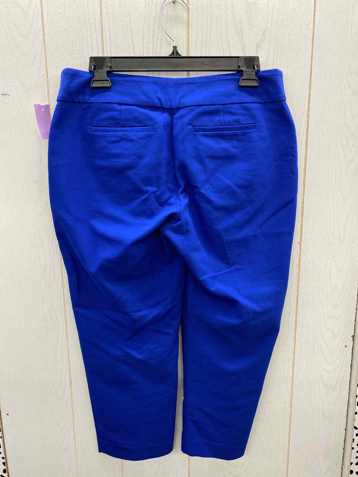 Apt 9 Blue Womens Size 8 Pants