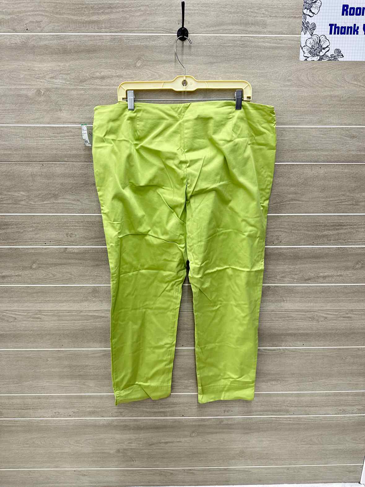 Charter Club Size 18 Green Womens Pants