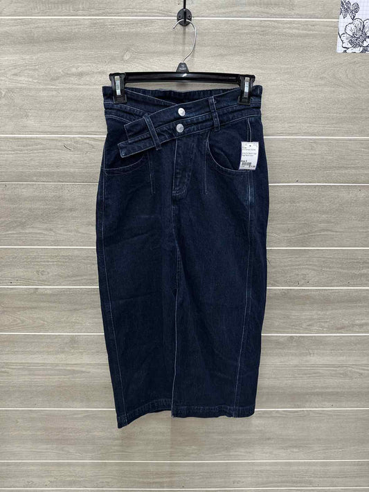 PILCRO Size 0 Blue Womens Skirt
