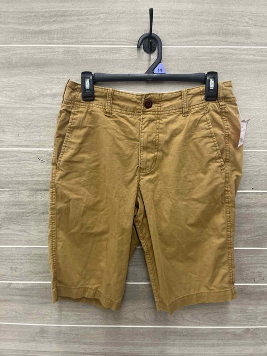 Hollister Size 28 Men Mens Shorts