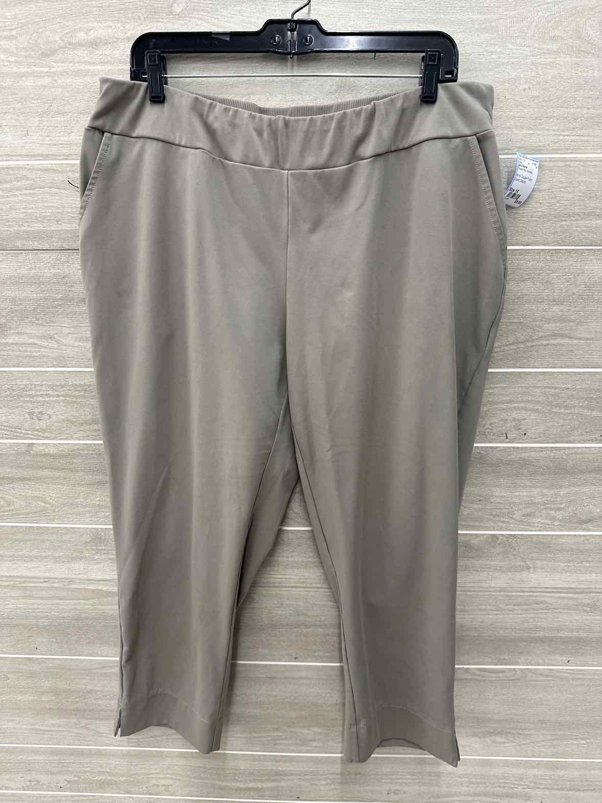 Zac & Rachel Size 1X Taupe Plus Pants