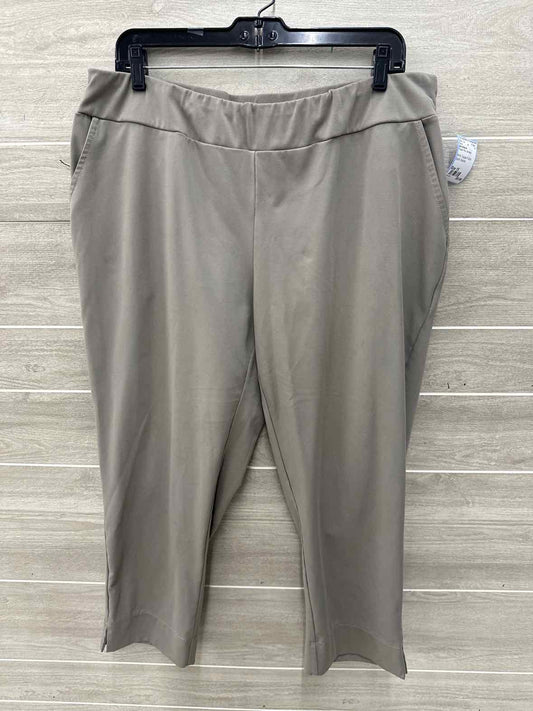 Zac & Rachel Size 1X Taupe Plus Pants