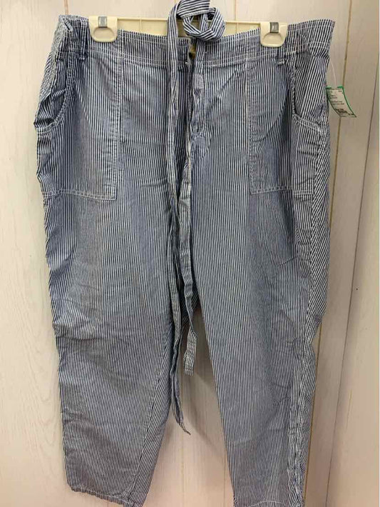 Liz Claiborne Blue Womens Size 16W Pants