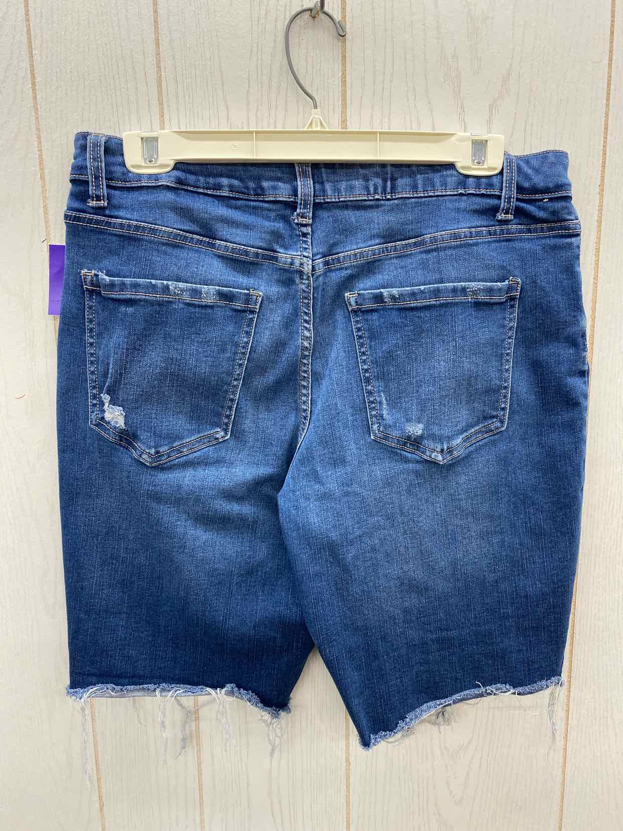 Time & Tru Blue Womens Size 14 Shorts