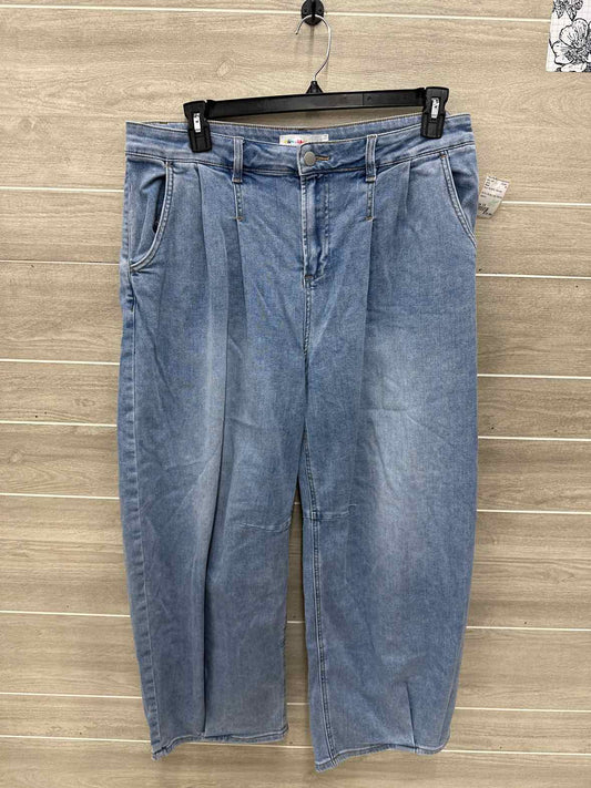 Risen Size 1X Blue Womens Jeans