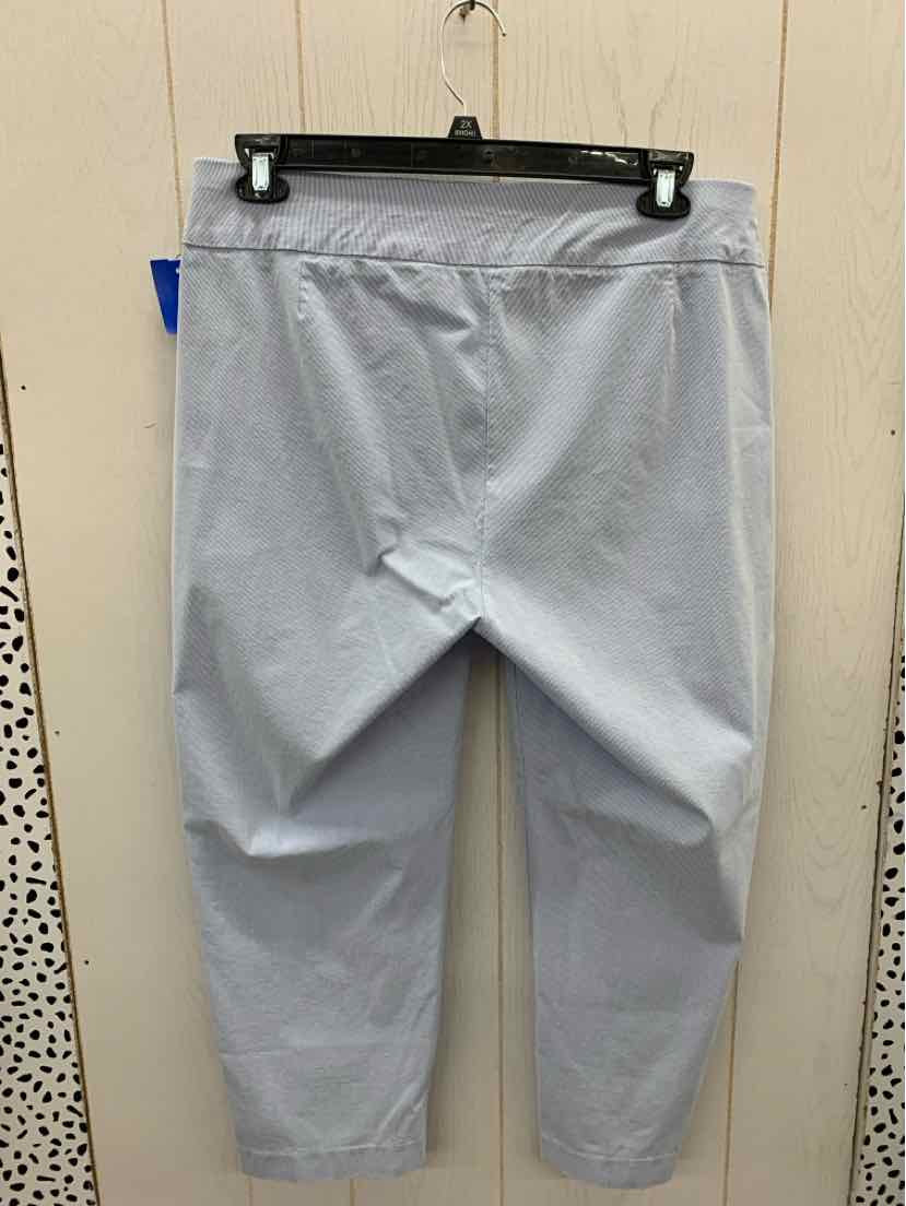 Premise Blue Womens Size 1X Pants