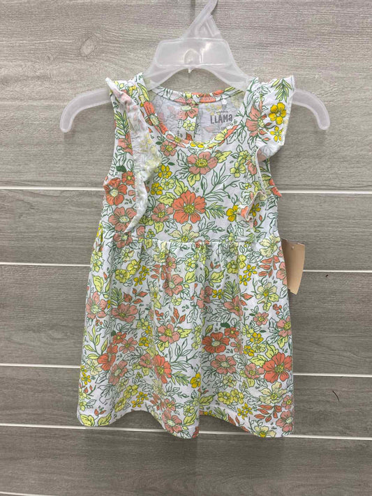 Infant 18 Months Dress