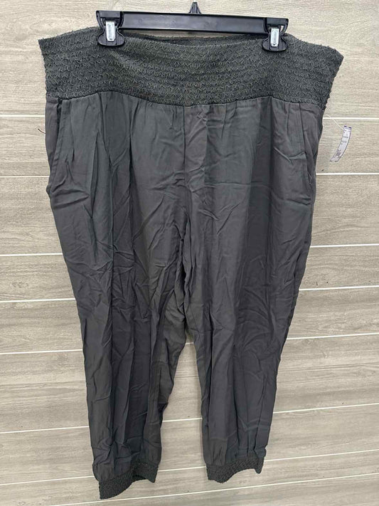 Size 16 Gray Womens Pants