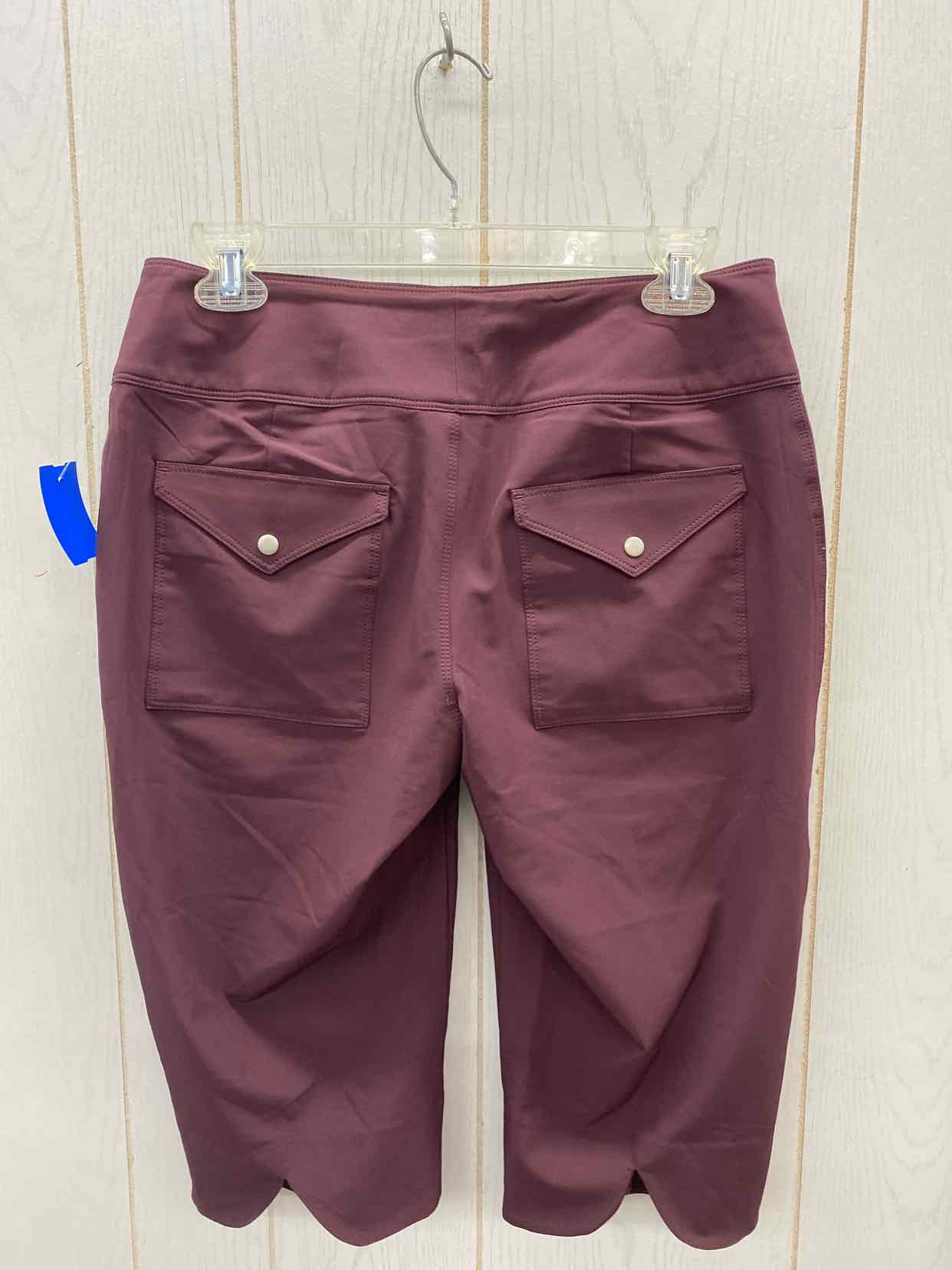 Burgundy Womens Size 4 Pants