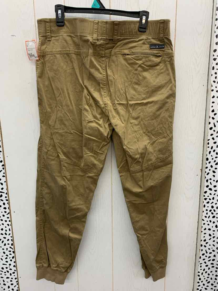 Alpine Size 36 Mens Pants