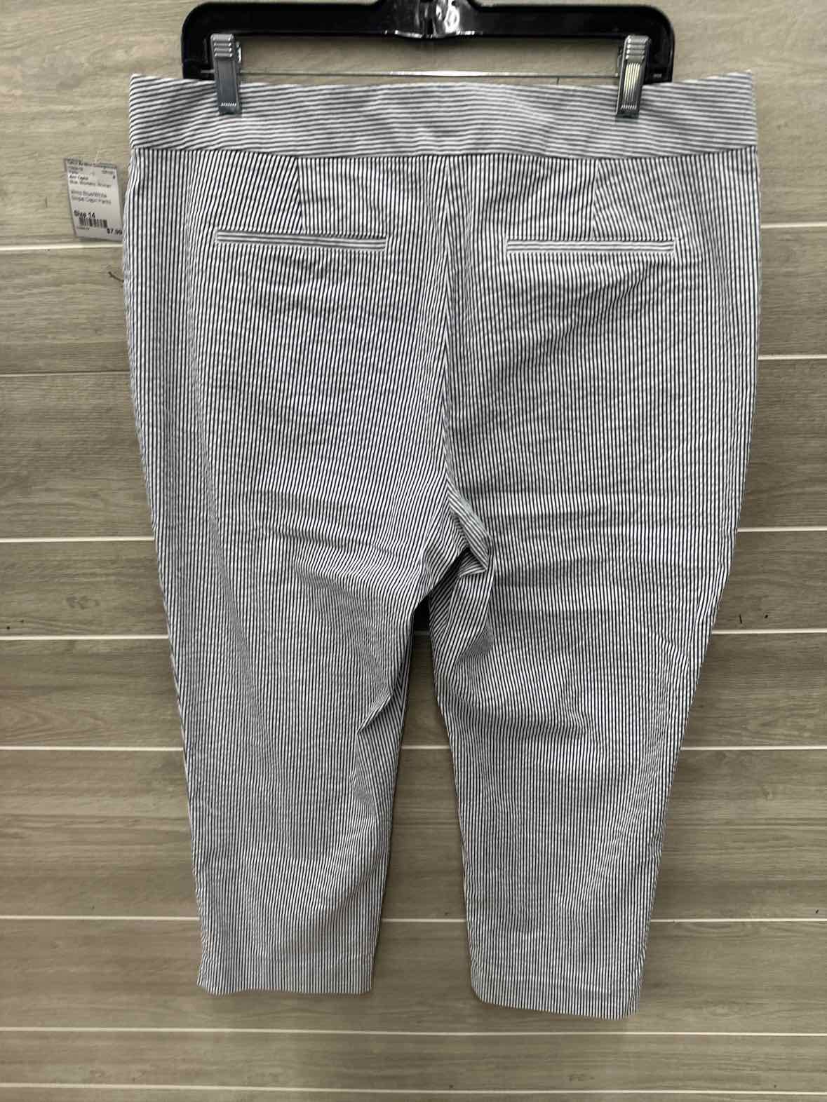 Ann Taylor Size 14 Blue Womens Pants