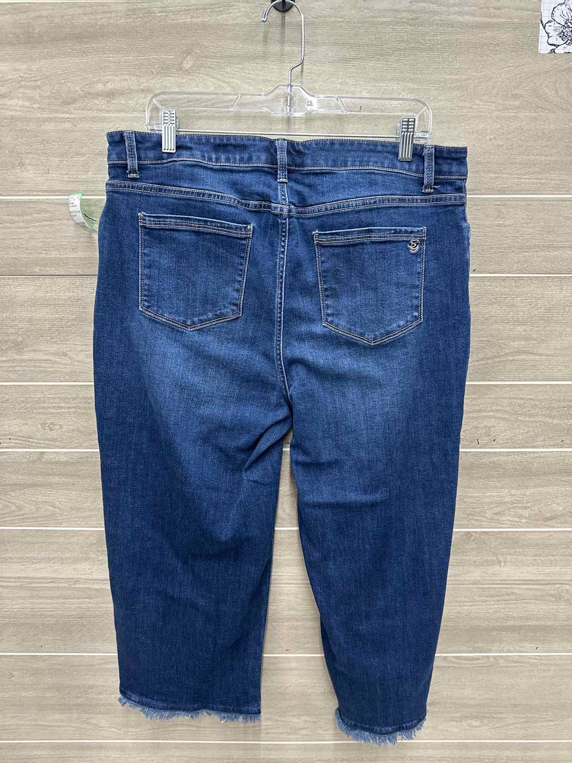 Susan Graver Size 18/20WP Blue Petite Jeans