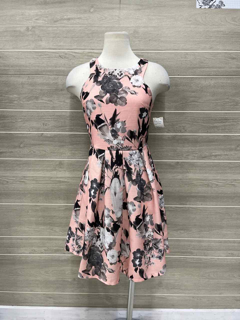 She & Sky Size 4 Pink Womens Dress