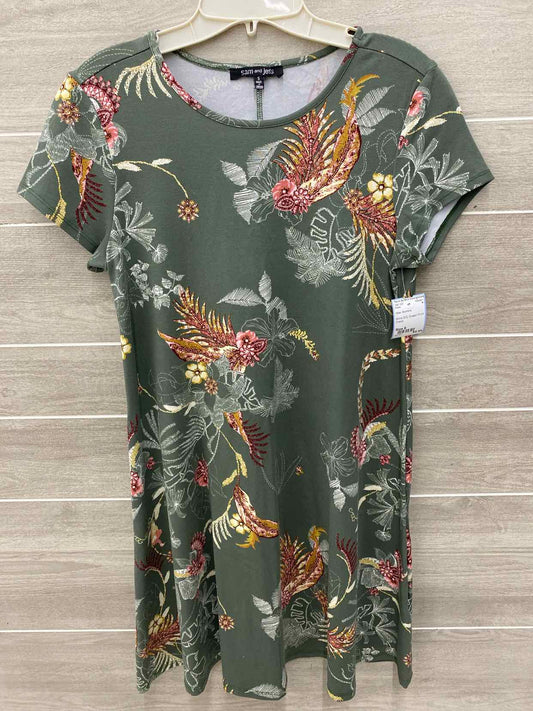 Olive Womens Size 6 Dress