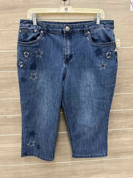 Christopher & Banks Blue Womens Women Size 14P Jeans