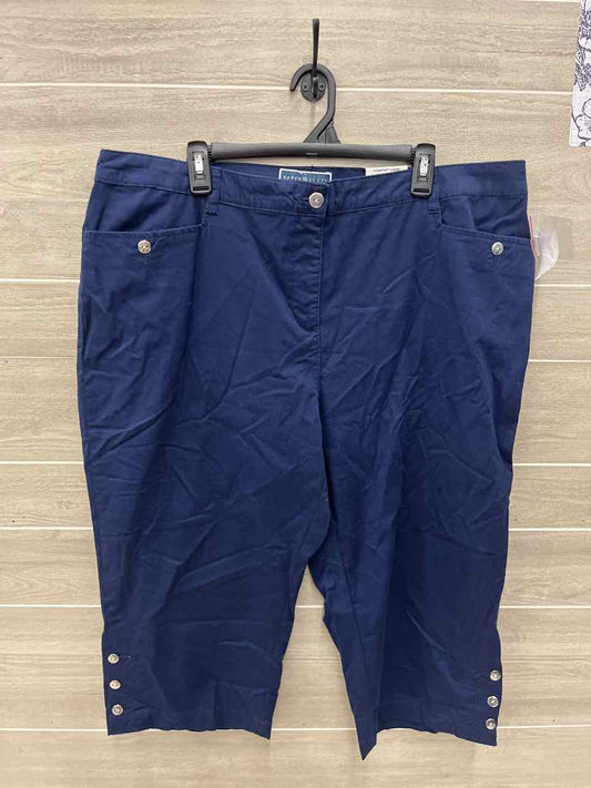 Karen Scott Size 20W Blue Plus Pants