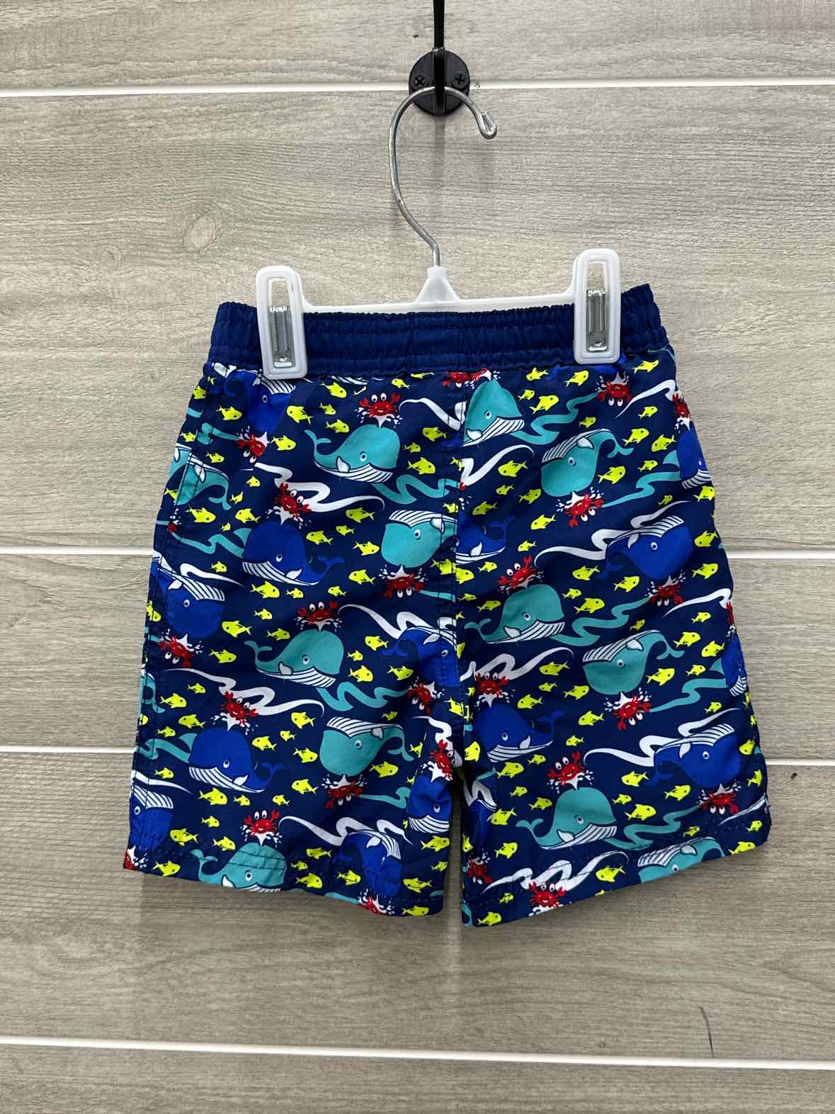 Infant 12 Months Swimwear