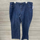 Venezia Size 26 Blue Plus Jeans