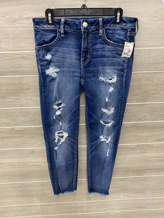 American Eagle Blue Womens Size 10 Jeans