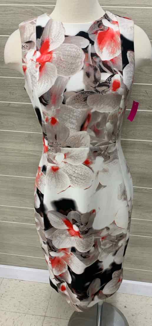 Calvin Klein Cream Womens Size 6 Dress