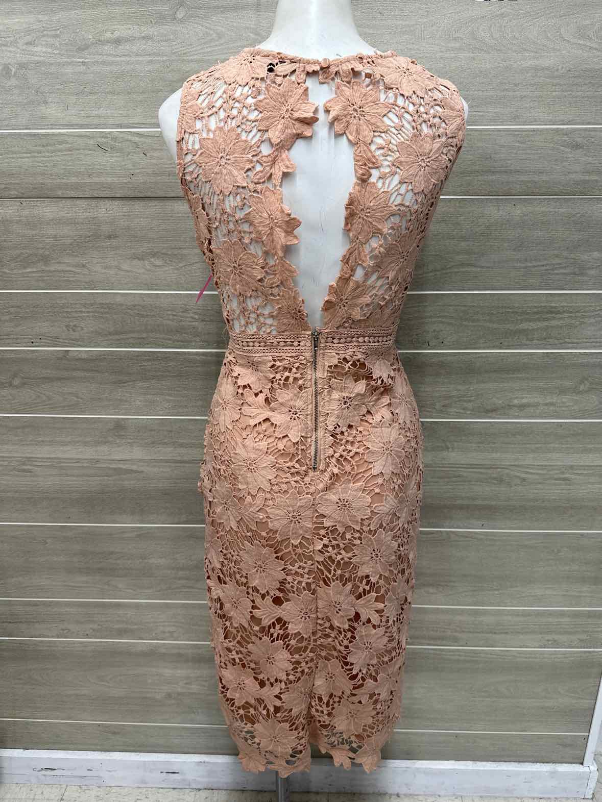 BLVD Size 6 Pink Womens Dress
