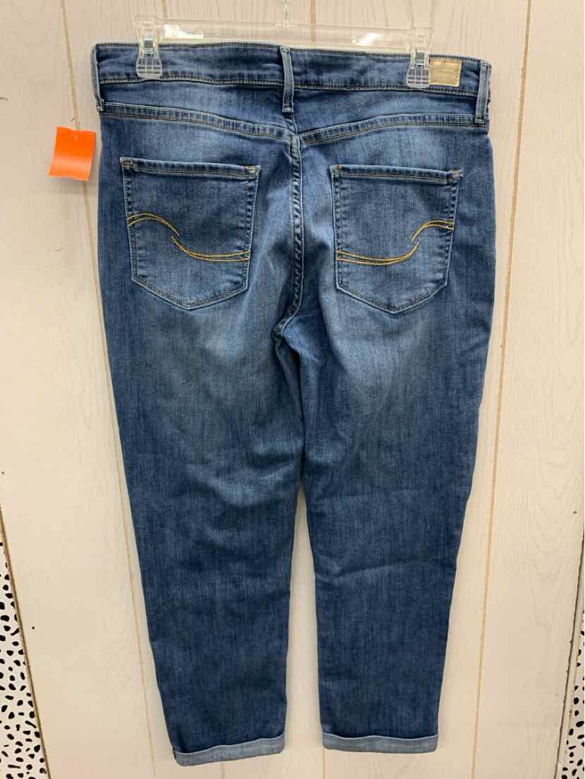 Levis Signature Blue Womens Size 10 Jeans