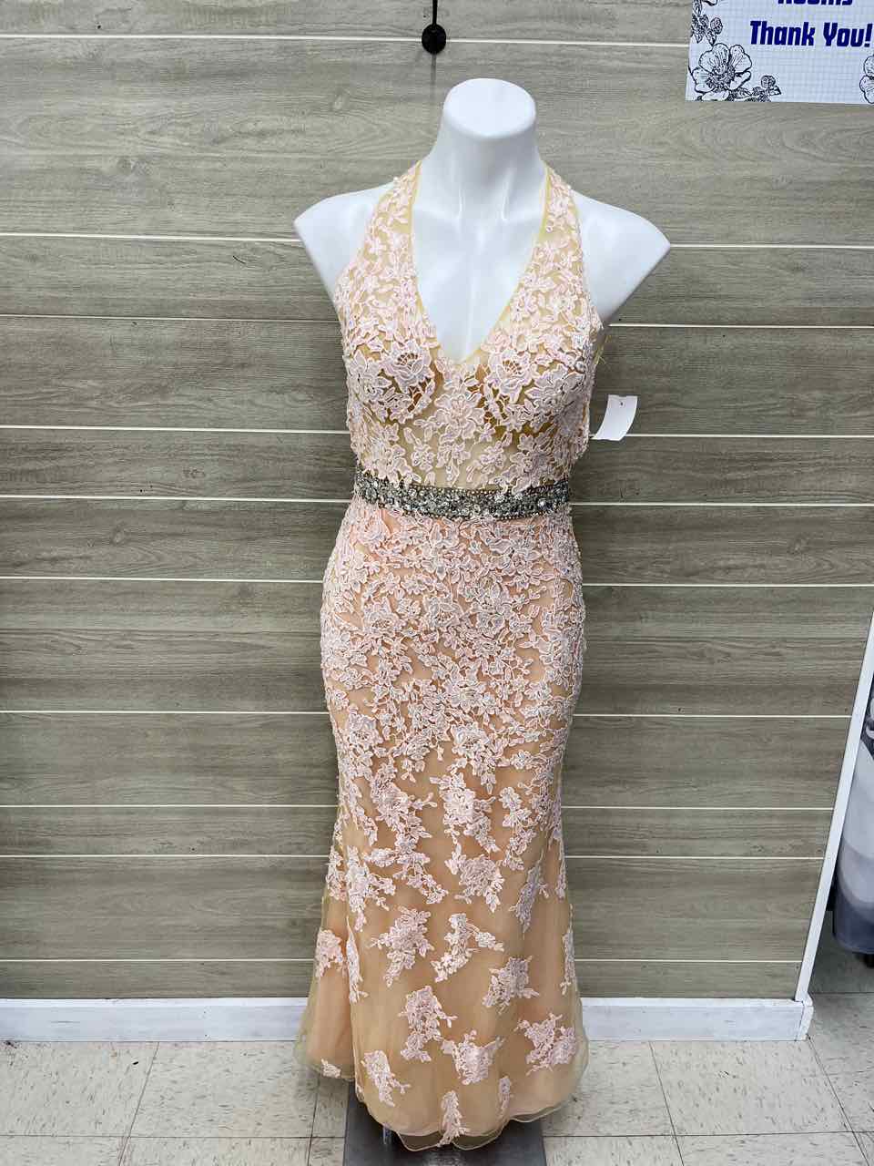 Size 8 Pink Womens Gown/Evening Wear