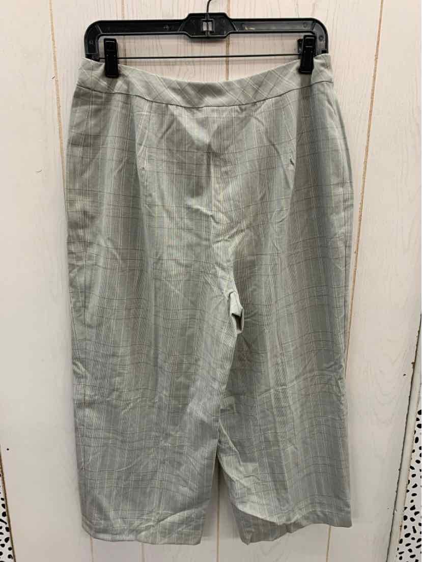 Dialogue Gray Womens Size 12 Pants