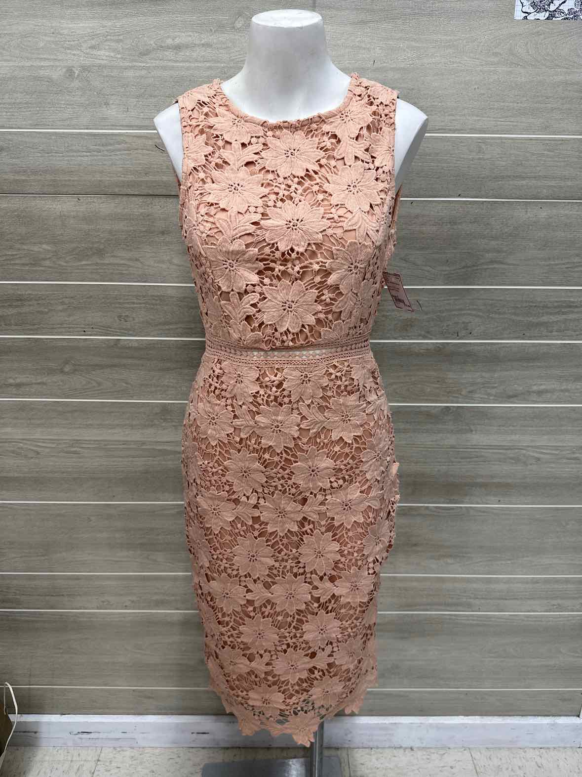 BLVD Size 6 Pink Womens Dress