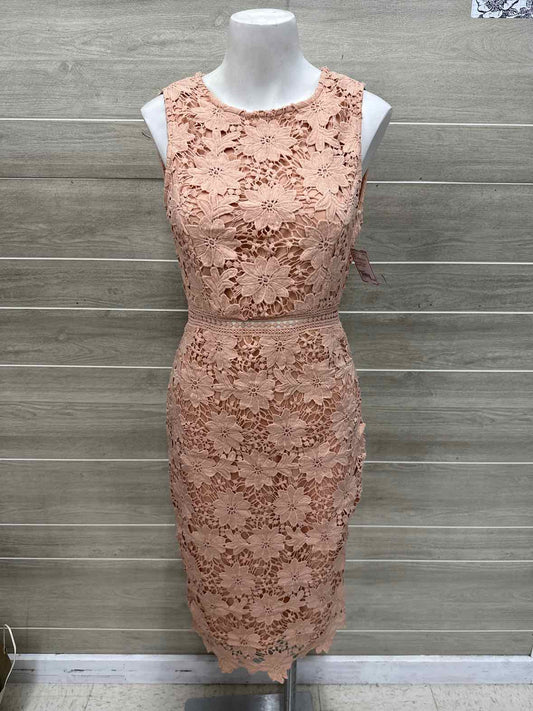 BLVD Size 6 Pink Womens Dress