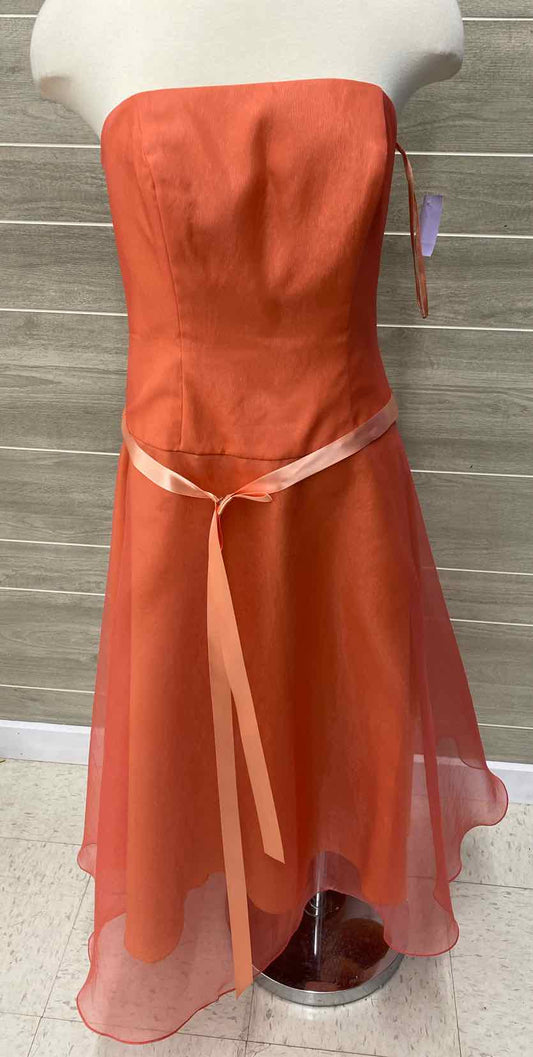 Coral Womens Size 10 Dress