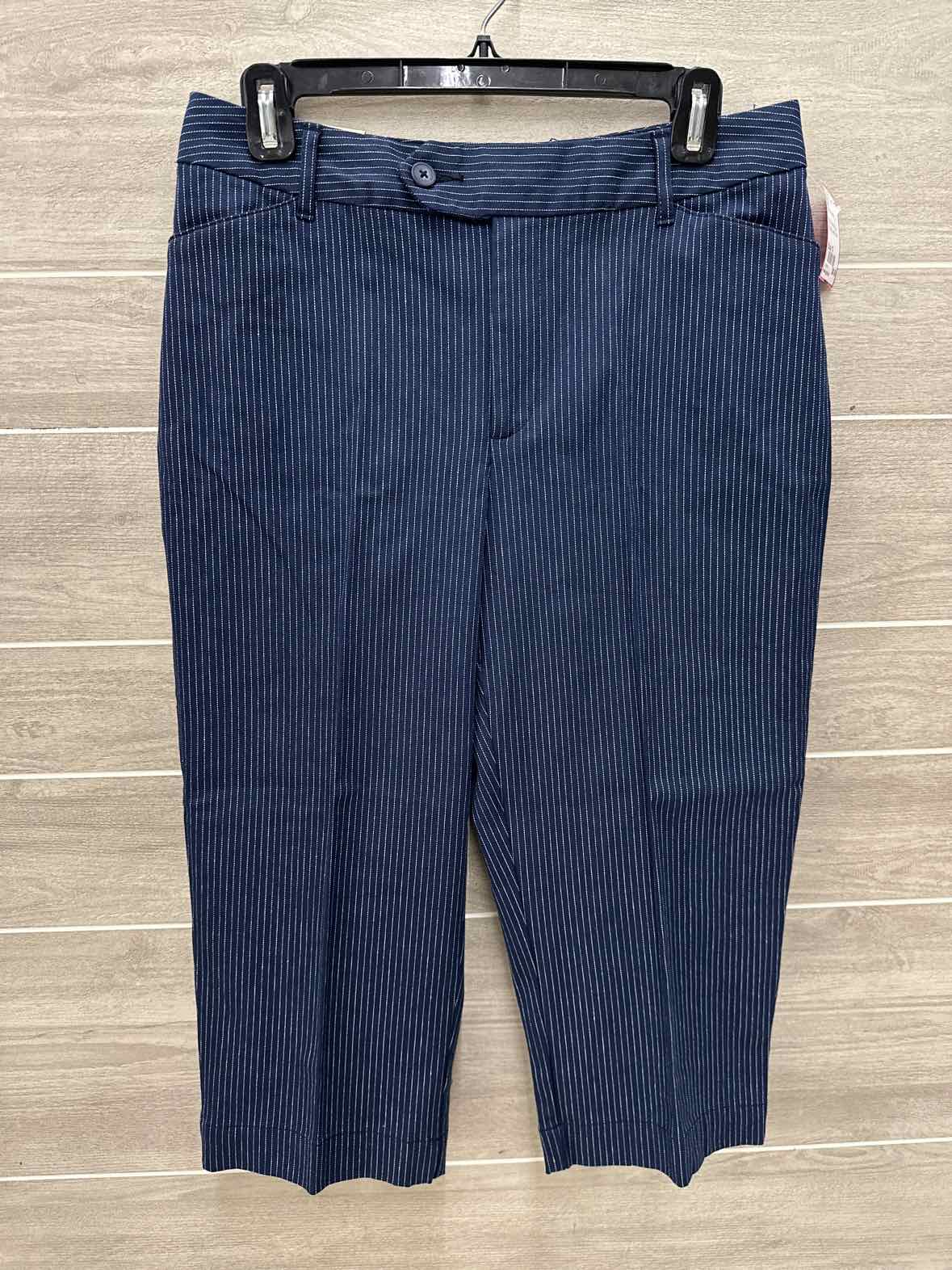 SJB Navy Womens Size 10 Pants