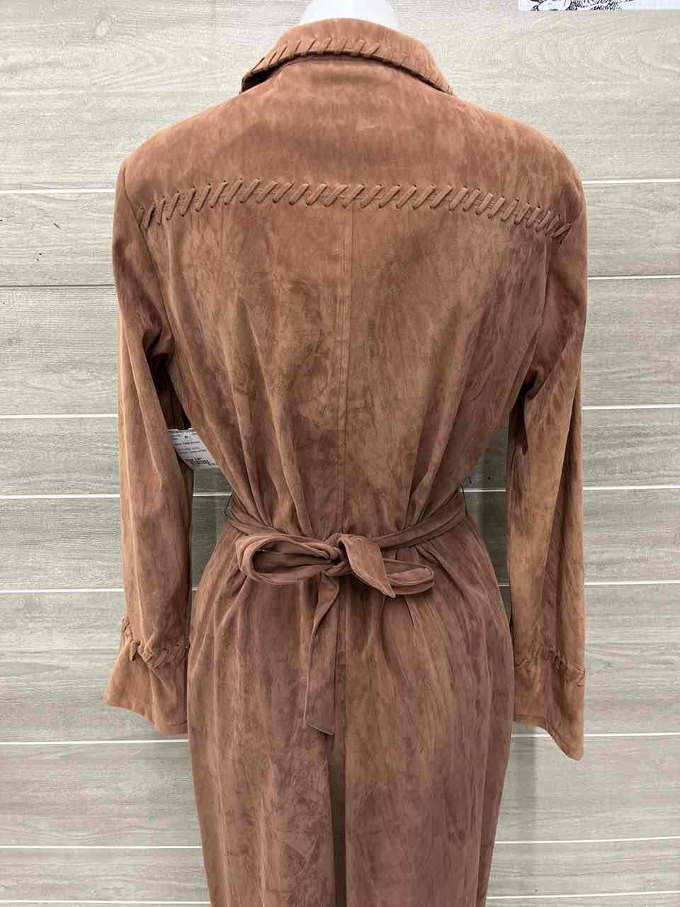 Size 10P Brown Petite Dress