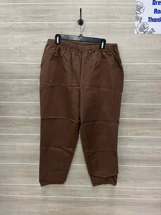 D & Co Size 18P Brown Plus Pants
